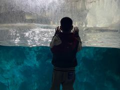 -冯姐生蚝(长隆横琴店)