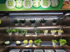 -串一火锅(赛格国际购物中心店)