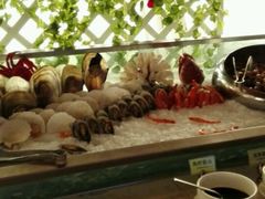 -339旋转餐厅(天府熊猫塔店)