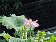 -衣裳街历史文化街区
