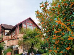 -千岛湖希尔顿休闲艇俱乐部