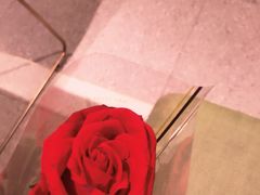 -海底捞火锅(关山保利店)