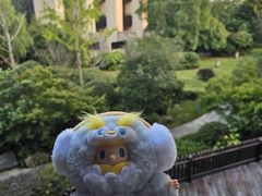 -上海崇明金茂凯悦酒店