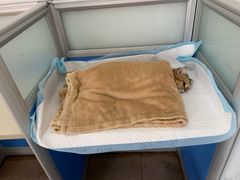 -灵美宠物诊所