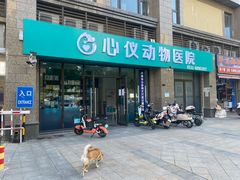 -心仪动物医院·牙专科·肿瘤·心脏科(西客站院)