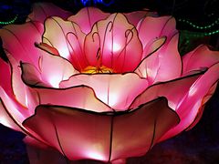 -长春公园(普阳街道)