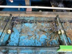 -龙溪海鲜酒家(溪涌店)