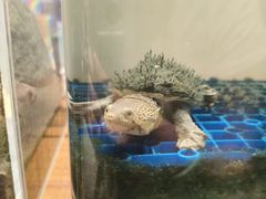 -谷咖啡·鲜花绿植花园餐厅