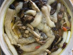 -江川野生菌火锅铜锅鱼(贵清火锅店)