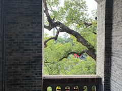 -江心屿景区