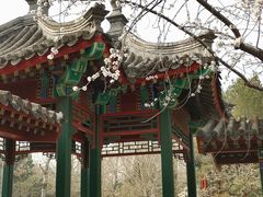 -宣武艺园