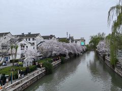 -常熟方塔园