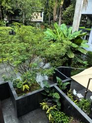 -宝生月子中心(独栋园林·福田店)