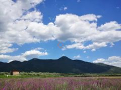 -碓臼峪自然风景区