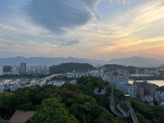 -福道