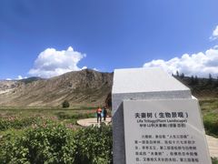 -可可托海景区