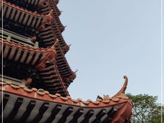 -红花山公园