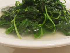 上汤辣椒叶-兴悦酒家(环市东路店)