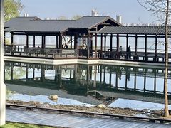 -渤公岛生态公园
