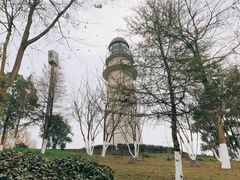 -金海湾滨江公园