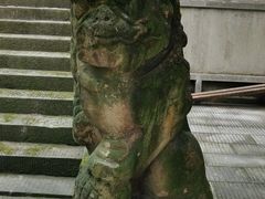 -缙云山景区