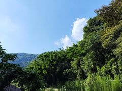 -广州市帽峰山景区