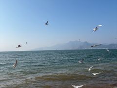 -抚仙湖禄充风景区