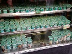 android_upload_pic-狐狸家·酸奶酪专门店(平江路店)