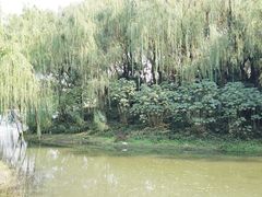 -浙江三立开元名都大酒店