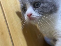 -宠颐生宠物医院·骨外科·犬猫全科诊疗中心(池州店)
