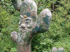-黑龙江省森林植物园