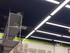 -MT麦如麦立送(五矿live店)