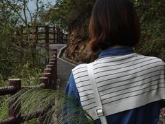 -羚羊峡古栈道森林公园
