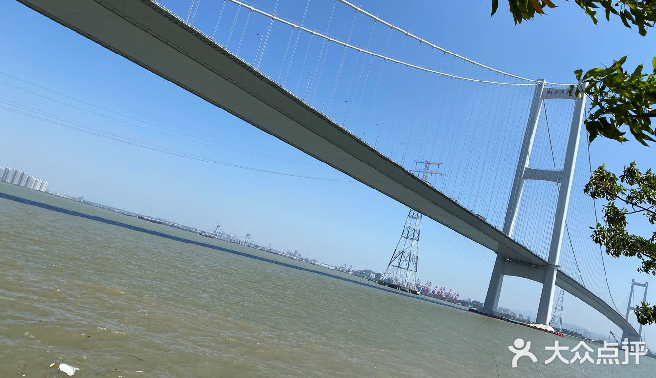 海鸥岛游啊游