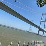 海鸥岛游啊游