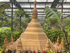 -南宫五洲植物乐园