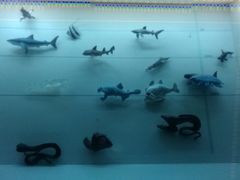 -同济大学四平路校区深海探索馆