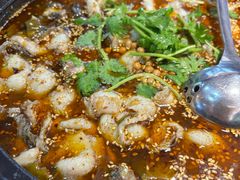 -光海·乡记酸菜鱼·始于1996(花园路店)
