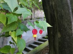 -都江堰普照寺