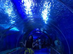 -多彩贵州城极地海洋世界