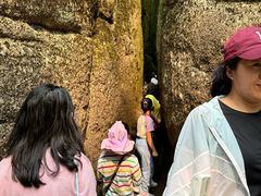 -五营红松林海景区