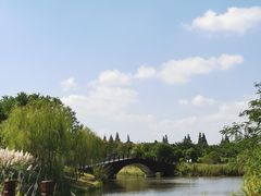 -南湖湿地公园