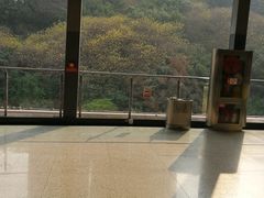-唐家院子(地铁站)