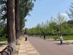 -二一九公园