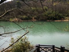 -白马涧龙池景区