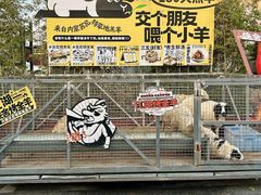 -侠舍·江湖烤全羊·大排档(沌口总店)