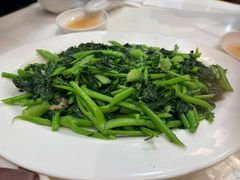 蒜蓉炒芥蓝苗-日日香卤鹅饭店·澄海狮头鹅(澄海店)