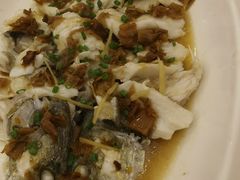 冬菜蒸桂鱼-春满人间酒楼(园岭中路店)
