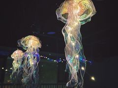 -全优加早教托育园(广百新一城店)