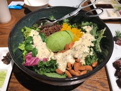 芥子酱羽翼甘蓝沙拉-小大董·烤鸭(凤凰汇店)